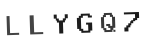 Verification Code Image